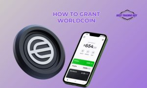 How to grant Worldcoin