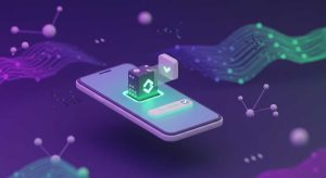 What is a Solana wallet address in the Paidwork app