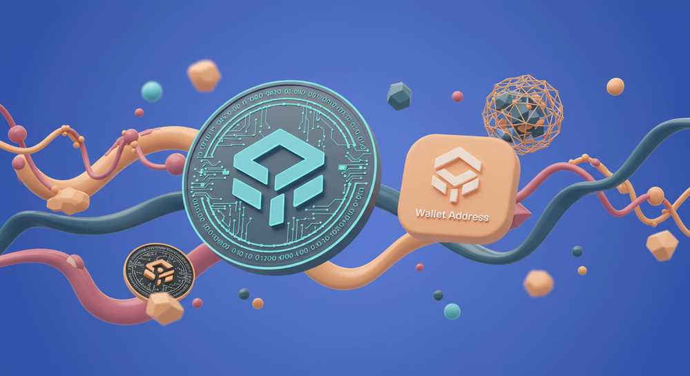Solana Public Key vs. Wallet Address: Understanding the Nuances